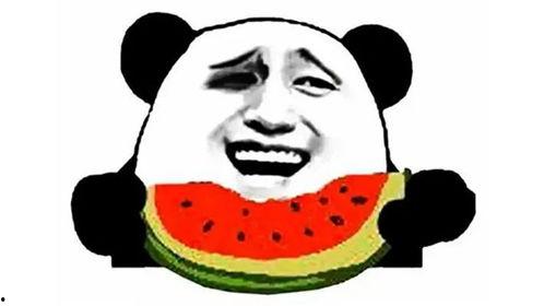 11月4日吃瓜,吃瓜群众见证的娱乐圈风云变幻