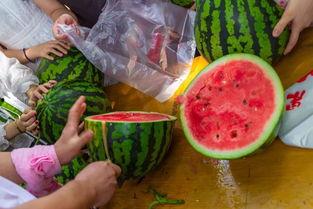 校园吃瓜视频网站,揭秘校园热门视频网站背后的故事