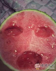 吃瓜把上颚吃破了,意外事件引发网友热议